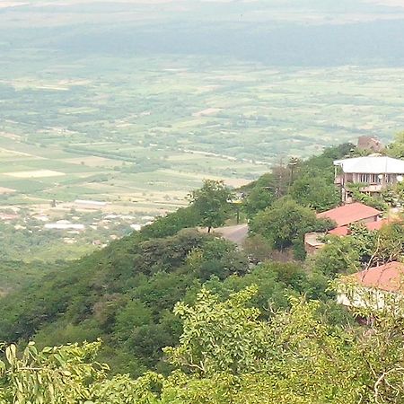 Апартаменты Зеленый Дом Kachret'i Экстерьер фото